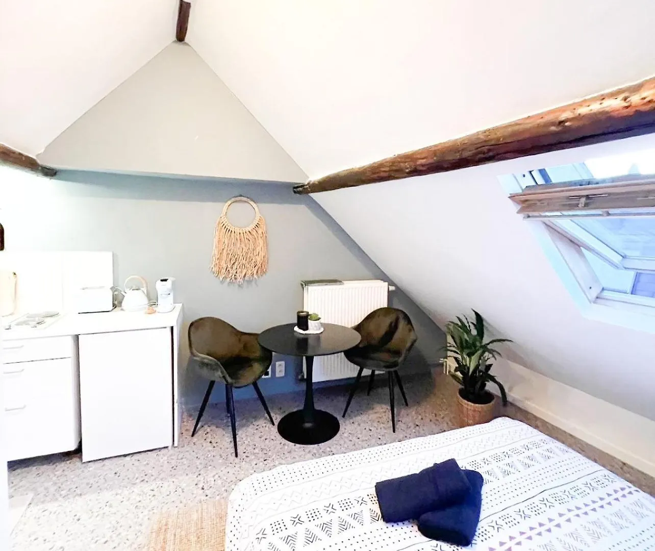 Antwerp Studio'S公寓 公寓
